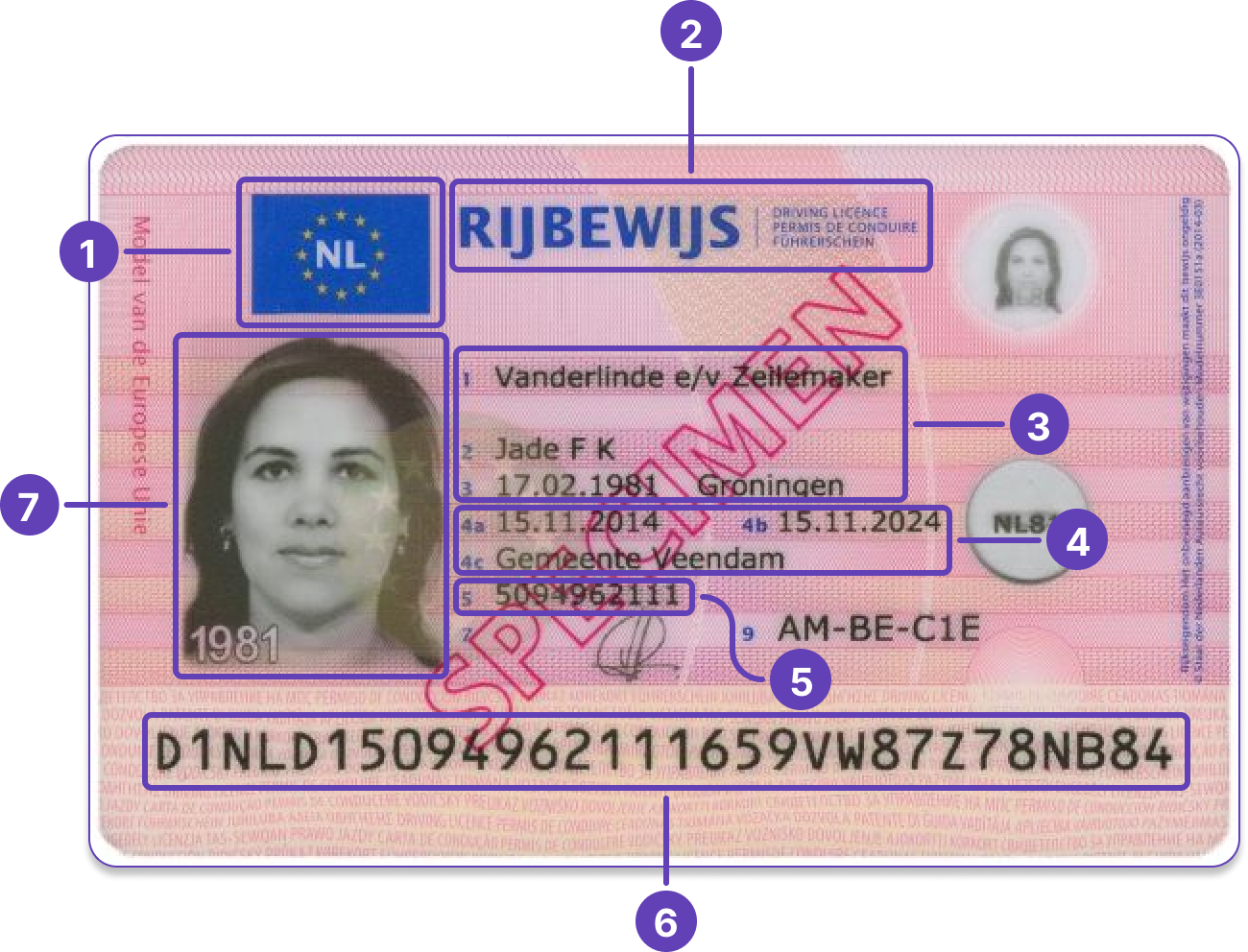 Driver's license.png